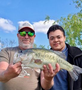 Largemouth Bass