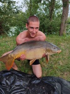 Mirror Carp