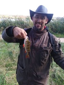 European Perch