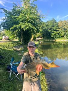 Common Carp
