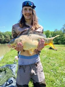 Mirror Carp