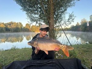 Mirror Carp