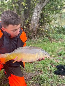 Mirror Carp