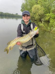 Northern Pike
