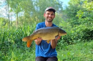 Common Carp