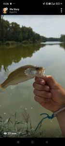 Smallmouth Bass