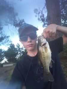 Largemouth Bass