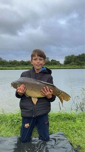 Mirror Carp
