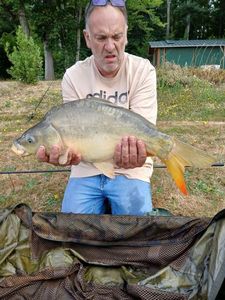 Mirror Carp