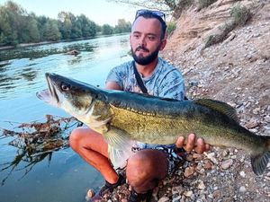 Zander