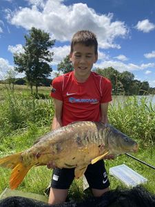 Mirror Carp