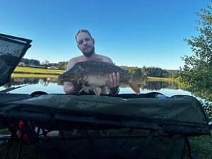 Mirror Carp