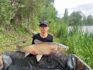 Grass Carp