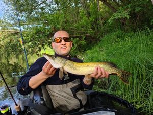 Northern Pike