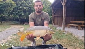 Mirror Carp