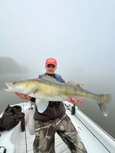Zander
