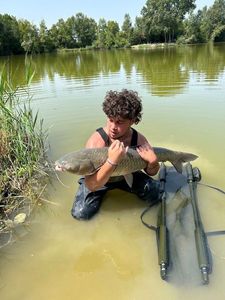 Grass Carp