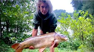 Common Carp