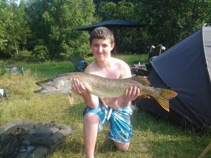 Northern Pike