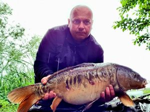 Mirror Carp