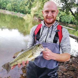 Largemouth Bass