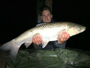 Grass Carp