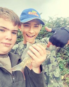 Common Carp