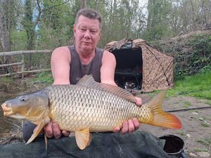 Common Carp