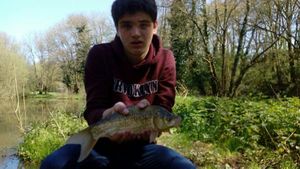 Crucian Carp