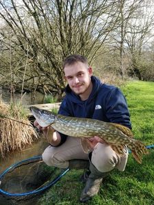 Northern Pike