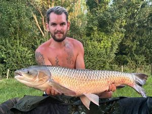 Grass Carp