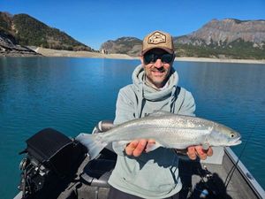 Lake Trout