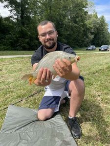 Crucian Carp
