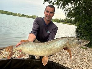 Northern Pike