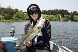 Zander