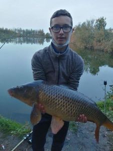 Common Carp