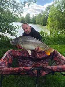 Mirror Carp