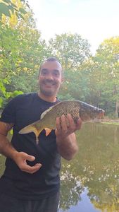 Common Carp