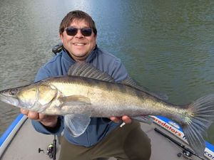 Zander
