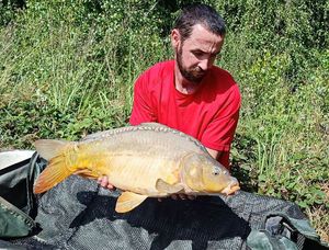 Mirror Carp