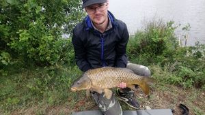 Common Carp