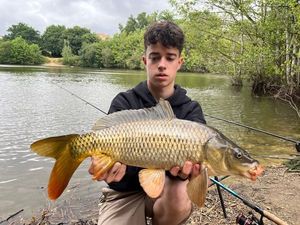 Common Carp