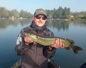 Northern Pike