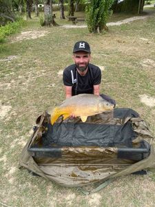 Mirror Carp