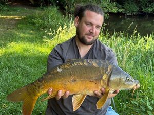 Mirror Carp