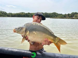 Mirror Carp