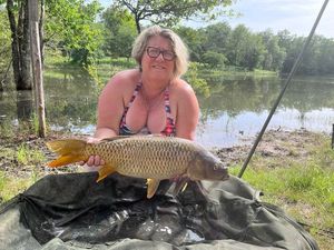 Common Carp
