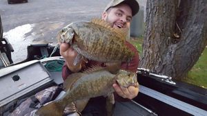 Smallmouth Bass
