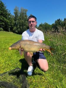 Common Carp