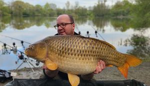 Common Carp